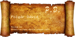 Polgár Dávid névjegykártya